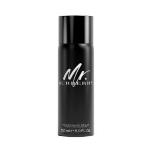 MR.BURBERRY -150ml