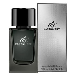 Mr. Burberry Eau de Parfum 100ml